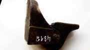 Halter für Motoraufhängung Kia Carnival, 1998.08 - 2005.09 Gebraucht,