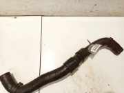 K?hlerschlauch Kia Sportage, 2004.09 - 2010.01 Gebraucht,