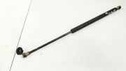 Gasfeder für Motorhaube Renault Scenic, I 1999.09 - 2003.06 facelift 7700430022,