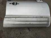 Zierleiste Tür Zier-Schutzleiste - Vorne Rechts Mitsubishi Pajero, 1999.10 - 2006.12 Gebraucht,