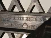 Kühlergrill - Vorne Center Mercedes-Benz C219, I 2004.10 - 2011.01 A2198850053, A 219 885 0053 DN 13637 DN13637