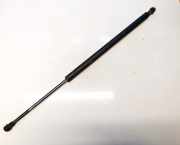 Gasfeder für Motorhaube BMW X5, E53 facelift 2004 - 2006 51248402405,51.24-8402405