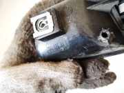 T?rinnengriff - Vorne Rechts Volkswagen Caddy, III 2004.03 - 2010.09 2k0837114b, BLS