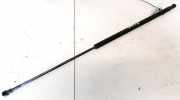 Gasfeder f?r Motorhaube Peugeot 406, 1999.03 - 2004.05 facelift 9630662480,