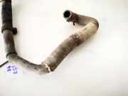 Kühlerschlauch Ford Transit Connect 2002.06 - 2008.12 Gebraucht,