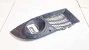Kühlergrill - Vorne Rechts Fiat Doblo, 2005.10 - 2009.08 t800,