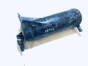Aktivkohlefilter Renault Laguna, I 1994.01 - 2001.03 7700858244,