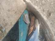 Waschwasserdüse Scheinwerferreinigung - Vorne Linke Mazda 6, 2002.06 - 2007.08 Gebraucht,