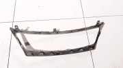 Kühlergrill Frontgrill Kühlergitter Lexus IS, II 2005.10 - 2013.03 5271153010,52711-53010