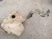 Treibstofftank Tank Kraftstofftank Seat Altea, 2004.01 - 2015.12 1K0201055,