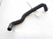 Kühlerschlauch Nissan Juke, I F15 2010.06 - 2019.06 Gebraucht,