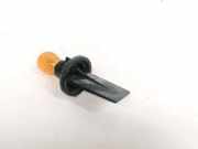 Glühbirnenfassung Blinker Renault Scenic, II 2003.06 - 2006.06 Gebraucht ,