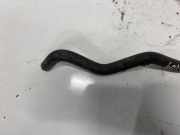 Kühlerschlauch Renault Scenic, II 2006.06 - 2009.02 facelift 8200320169,