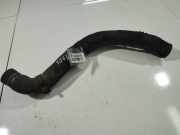 Kühlerschlauch Renault Scenic, II 2003.06 - 2006.06 Gebraucht ,