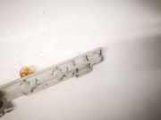 Lampenträger Heckleuchte - Hinten Skoda Fabia, I 6Y 1999.08 - 2005.10 6y6945257,