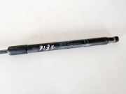 Gasdruckfeder Kofferraum Toyota Yaris, II (XP90) 2005.01 - 2011.01 Gebraucht,