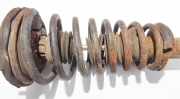 Fahrwerksfeder vorne Nissan Primera, P10 1990.06 - 1996.06 Gebraucht,
