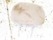 Kopfstütze Land-Rover Freelander, 1998.02 - 2006.10 Gebraucht,