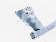 Stoßstangenträger vorne Peugeot 807, 2002.06 - 2012.05 Gebraucht,