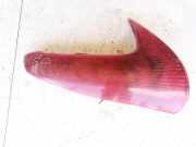 R?ckleuchten - Hinten Rechts Peugeot 206, 1998.08 - 2002.07 Gebraucht,