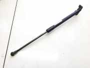 Gasdruckfeder Kofferraum Toyota Yaris, II (XP90) 2005.01 - 2011.01 689600d011,68960-0d011