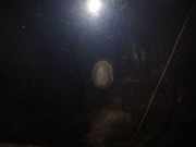 Waschwasserdüse Scheibenreinigung Mazda Premacy, 1999.01 - 2005.03 Gebraucht,