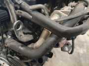 Kühlerschlauch Volkswagen Passat, B6 2005.08 - 2010.11 Gebraucht, BKP