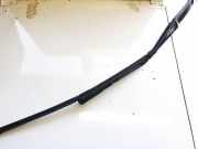 Windschutzscheibe Scheibenwischer Audi TT, 2006.08 - 2014.06 8j2955408b,