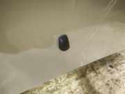 Waschwasserdüse Scheibenreinigung Toyota Avensis Verso, 2001.08 - 2009.11 Gebraucht,