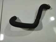 Kühlerschlauch Nissan Almera Tino 2000.08 - 2003.09 Gebraucht,