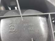 Türinnengriff - Vorne Linke Peugeot 207, 2006.02 - 2009.06 303966,303966 1 1Ch 11Ch