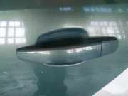 T?rgriff T?raussengriff - Hinten Linke Opel Vectra, C 2002.04 - 2005.10 Gebraucht,