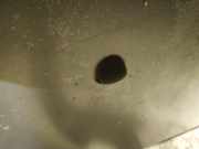 Waschwasserd?se Scheibenreinigung Alfa-Romeo 147, I 2000.11 - 2004.09 Gebraucht,