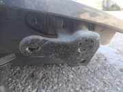 T?rscharnier Vorne Smart Forfour 2004 - 2006 Gebraucht,