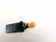 Gl?hbirnenfassung Blinker Renault Scenic, II 2003.06 - 2006.06 Gebraucht,
