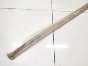 Zierleiste Tür Zier-Schutzleiste - Vorne Linke Volkswagen Passat, B6 2005.08 - 2010.11 Gebraucht, BLS