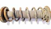 Fahrwerksfeder Hinterachse Honda Accord, 2003.02 - 2005.09 Gebraucht,
