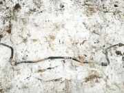 Stabilisator Stabi Hinten Hinterachse Opel Vectra, C 2002.04 - 2005.10 Gebraucht,