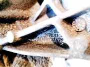 Motorhalterung und Getriebe (Motorhalterung) Nissan Primera, P12 2002.01 - 2008.12 8200072747,