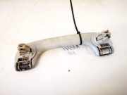 Haltegriff Haltegriff Verdeckgriff - Vorne Rechts Renault Laguna, II 2001.03 - 2006.05 8200000099,