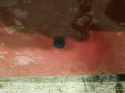 Waschwasserdüse Scheibenreinigung Renault Megane, I 1995.11 - 1999.02 Gebraucht,