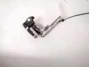 Türscharnier Vorne Seat Ibiza, III 2002.02 - 2009.11 Gebraucht,