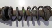Fahrwerksfeder Hinterachse Lexus IS, II 2005.10 - 2013.03 Gebraucht,