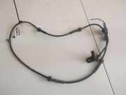 Kabelbaum Einparkhilfe Nissan Primera, P12 2002.01 - 2008.12 Gebraucht,