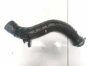 Schlauch für Luftversorgung Renault Espace, IV 2002.11 - 2014.12 820002609,