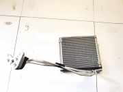 Klima Radiator Tesla Model Y, 2020 --> 578e10,578e-10