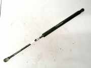 Gasdruckfeder Kofferraum Fiat Punto, 2005.10 - 2012.03 51778432,0924wg0350n