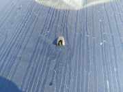 Waschwasserdüse Scheibenreinigung Volvo S80, 1998.05 - 2004.06 Gebraucht,