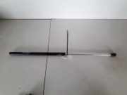 Gasfeder für Motorhaube Audi 100, C4 1991.01 - 1994.06 Gebraucht ,