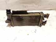 Ladeluftkühler Ford KA, 2008.11 - 2014 878350000,